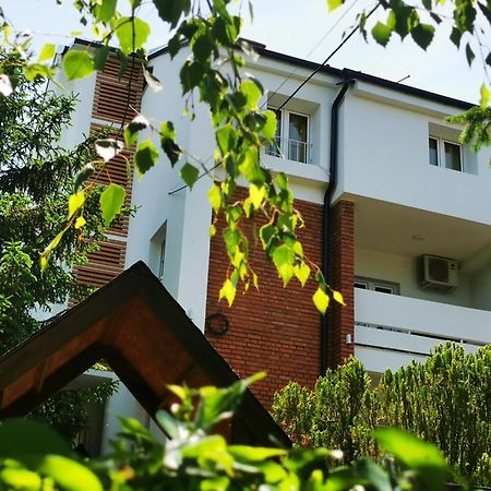 Vila Breza Soko Banja Exteriér fotografie