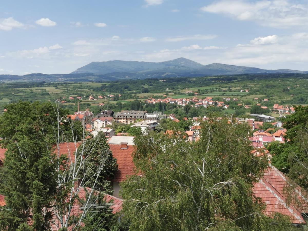 Vila Breza Soko Banja Exteriér fotografie