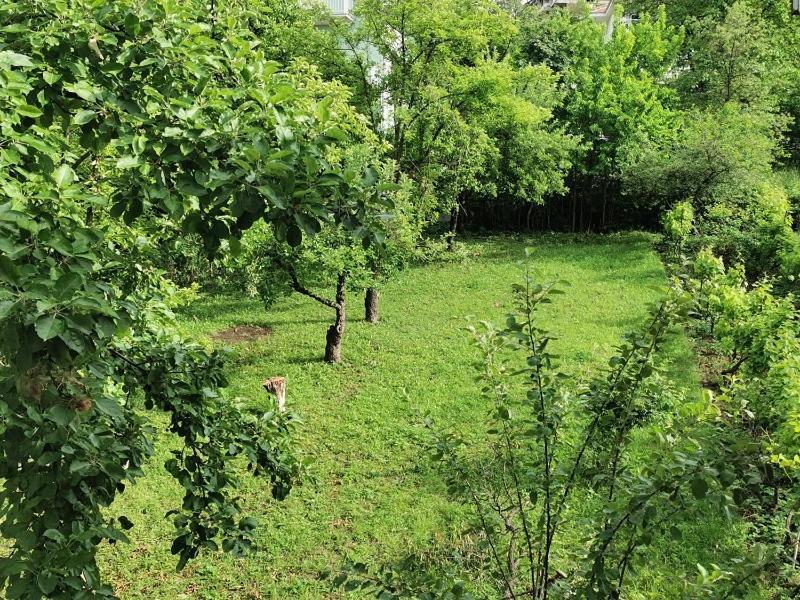 Vila Breza Soko Banja Exteriér fotografie