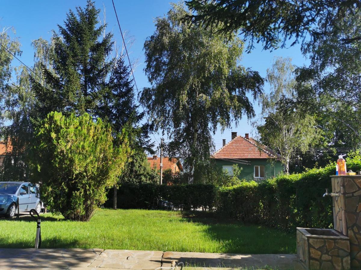 Vila Breza Soko Banja Exteriér fotografie
