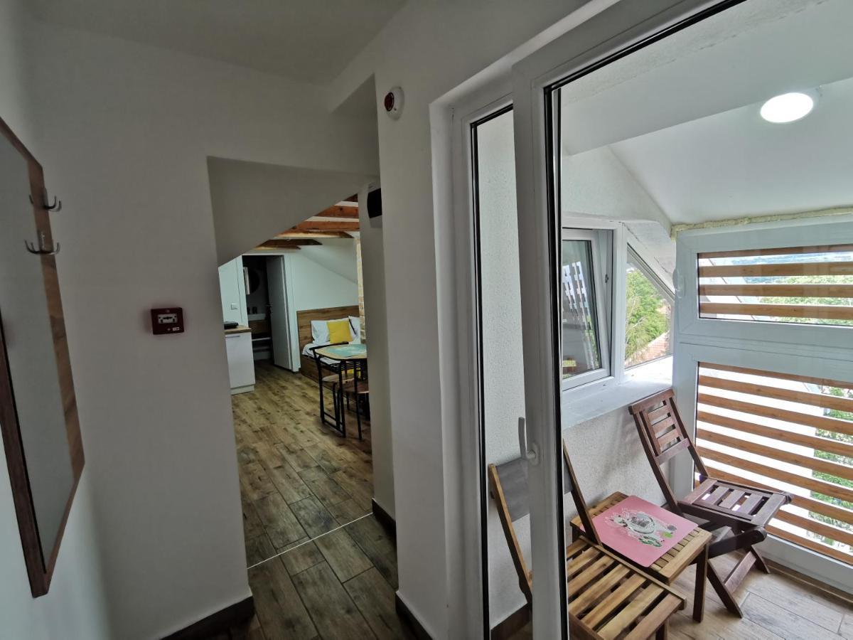 Vila Breza Soko Banja Exteriér fotografie