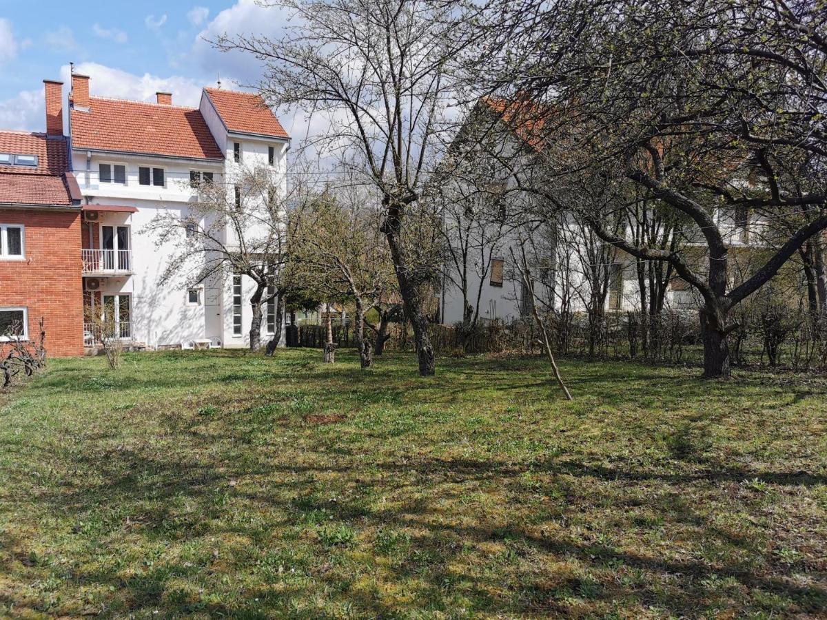 Vila Breza Soko Banja Exteriér fotografie