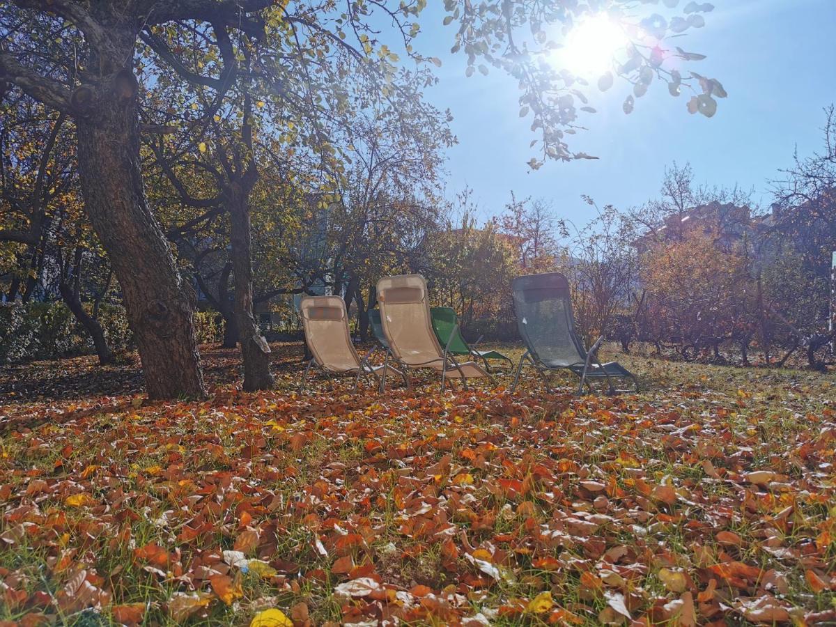 Vila Breza Soko Banja Exteriér fotografie