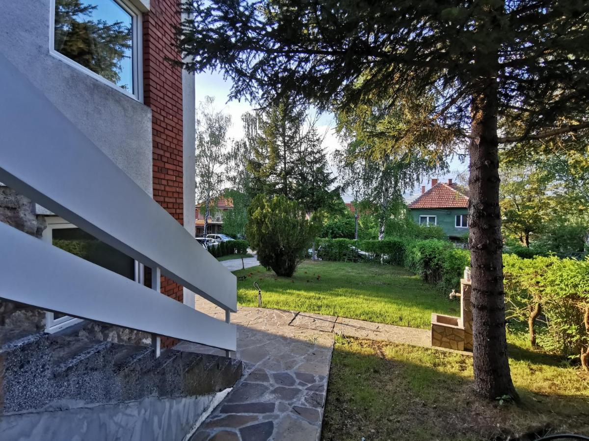 Vila Breza Soko Banja Exteriér fotografie