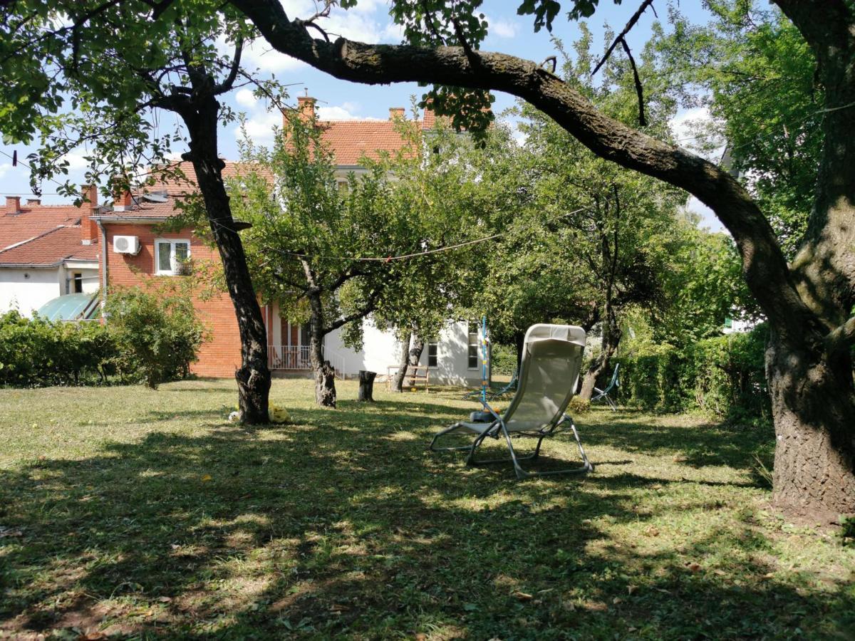 Vila Breza Soko Banja Exteriér fotografie
