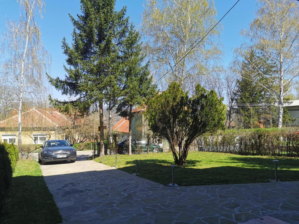 Vila Breza Soko Banja Exteriér fotografie
