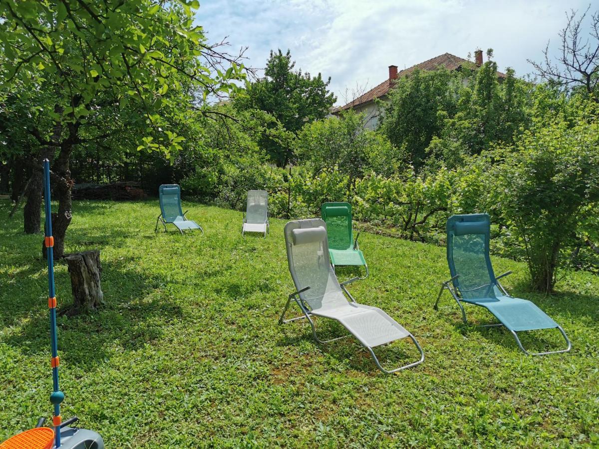 Vila Breza Soko Banja Exteriér fotografie