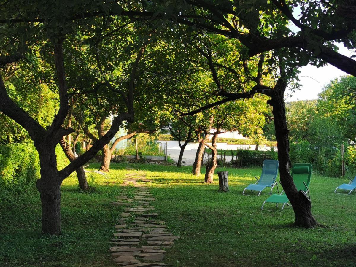 Vila Breza Soko Banja Exteriér fotografie