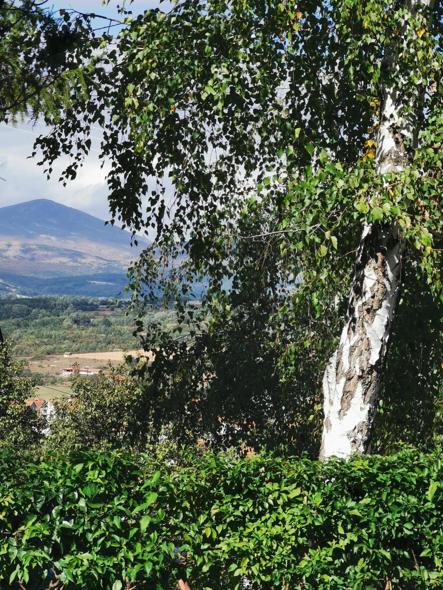 Vila Breza Soko Banja Pokoj fotografie